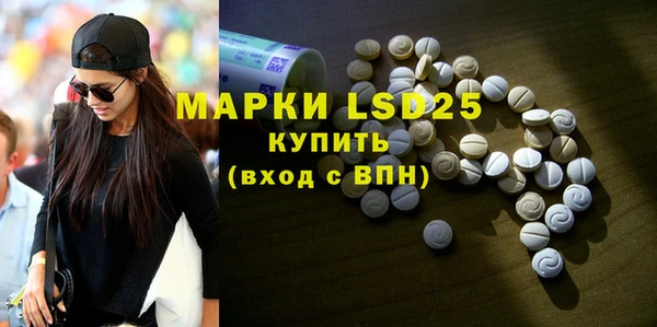 ПСИЛОЦИБИНОВЫЕ ГРИБЫ Алексеевка