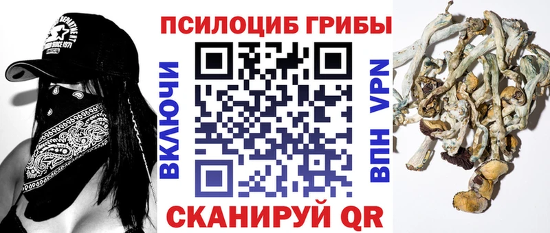 Галлюциногенные грибы мицелий  Махачкала 