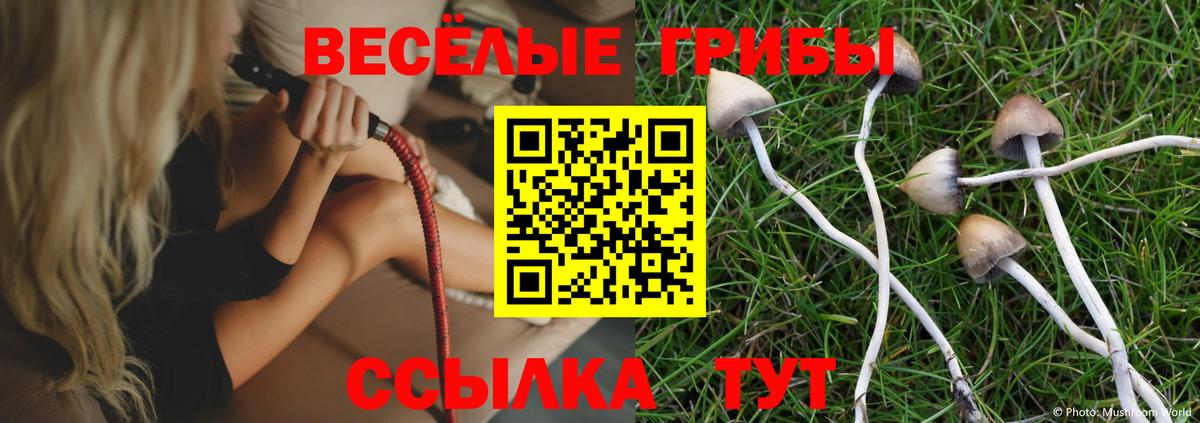 Псилоцибиновые грибы прущие грибы Махачкала